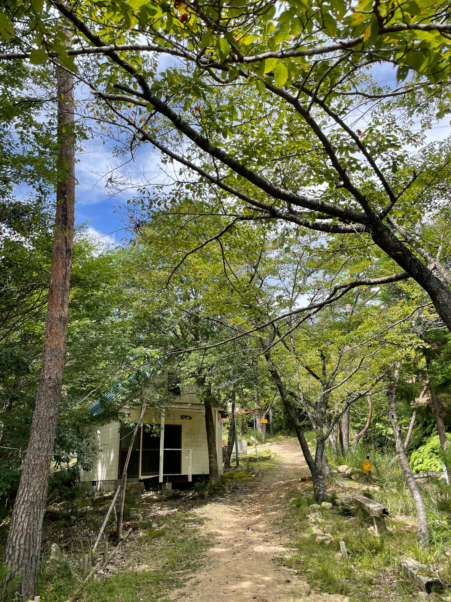 Tweets With Replies By 公式 どんがはたキャンプ場 Dongahata Camp Twitter