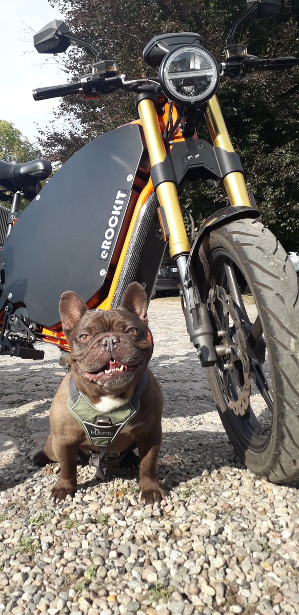 eROCKIT_Bike's tweet photo. Noch schöner als der #Fernsehgarten! #eROCKIT beim #happysummer #weekend auf #GutBasthorst bei #Hamburg @MoviemeetsMedia #emobility #faceclub #motorrad #ebike #innovation #success #gadget #hund #sommer #party #moviemeetsmedia #Wochenende #bike #Elektromobilitaet #design https://t.co/zIYx4qm9ST