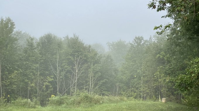 Brain feels just like the weather this morning&hellip; very foggy! 🥱😴🥱 https://t.co/fU3QCmLa9v<a href="/tag/nsfwtwt"class="tags"><span>#nsfwtwt</span></a>