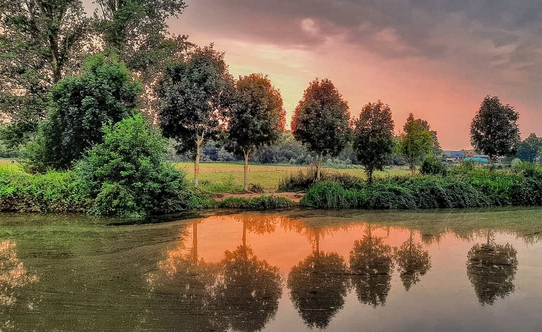Smischken's tweet photo. Gisterenavond langs de Dender...hemels mooi ...#vrtweer #reflectie #zomer #summer #riverofdreams #peacefull #vredevol #Pollare #20u30 #22graden https://t.co/zpekqYuVlL