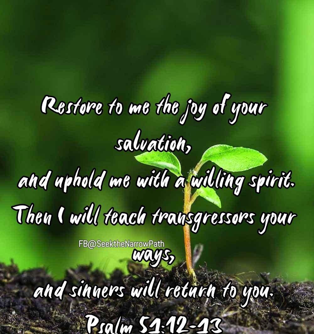 Restore to me the joy of your salvation, and uphold me with a willing spirit.Then I will teach transgressors your ways, and sinners will return to you. - Psalm 51:12-13
