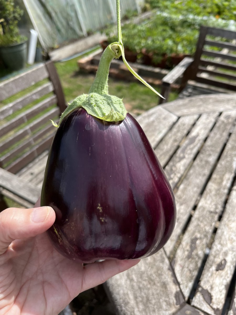 kathy 💙 tweet media