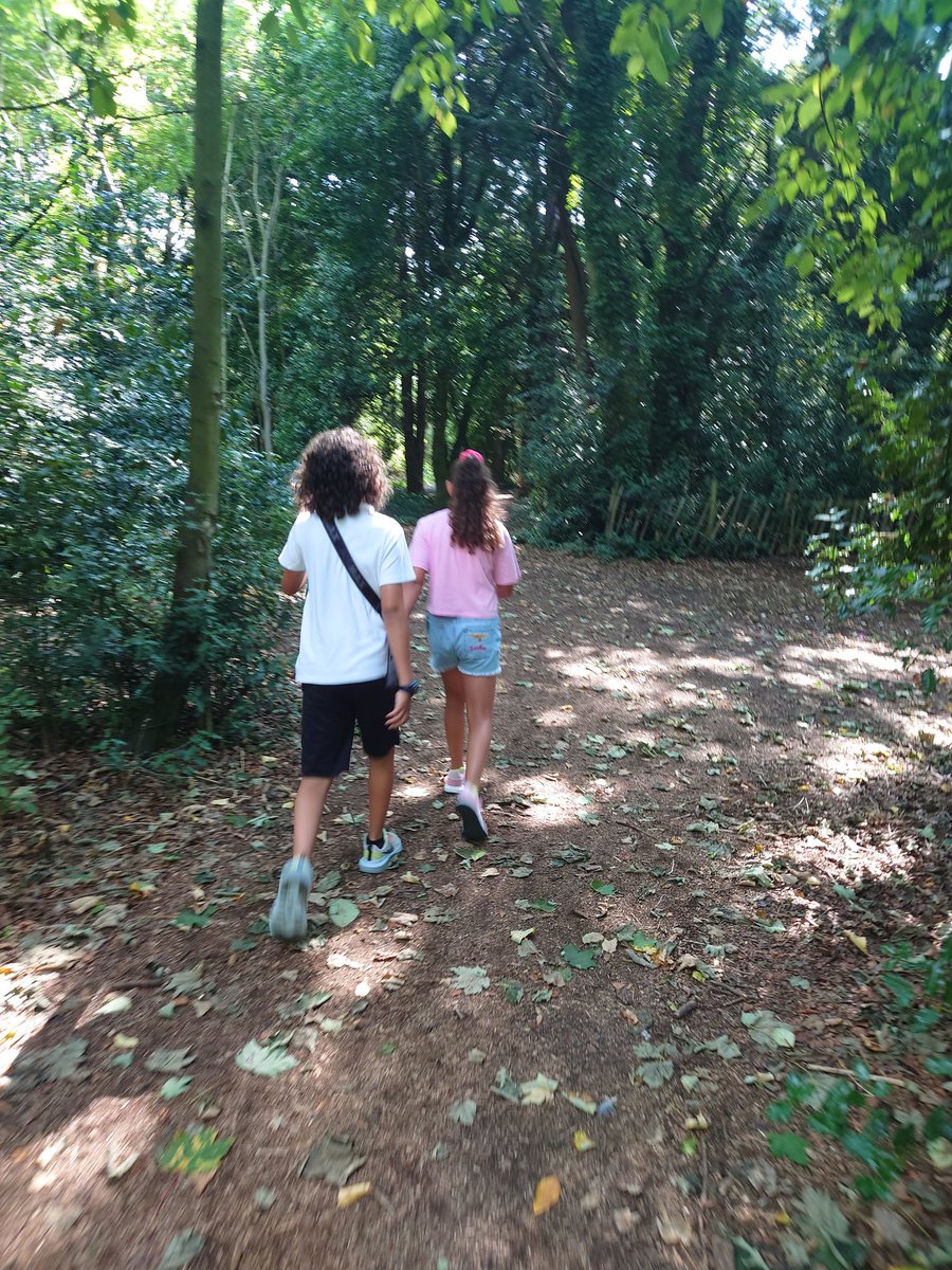 BecksBDaniels's tweet photo. A forest walk #NursesActive #NelActive #familyActive https://t.co/xzHE8nbwYx