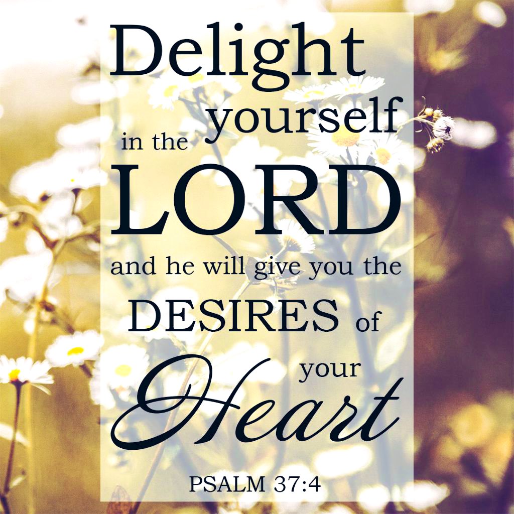Psalm 37:4 
Delight thyself also in the Lord: and He shall give thee the desires of thine heart.🙌🏽💫🕊💛