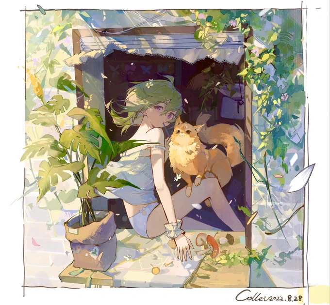 Warm breeze#GenshinImpact #collei #原神 