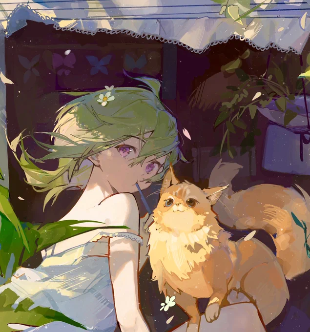 Warm breeze#GenshinImpact #collei #原神 