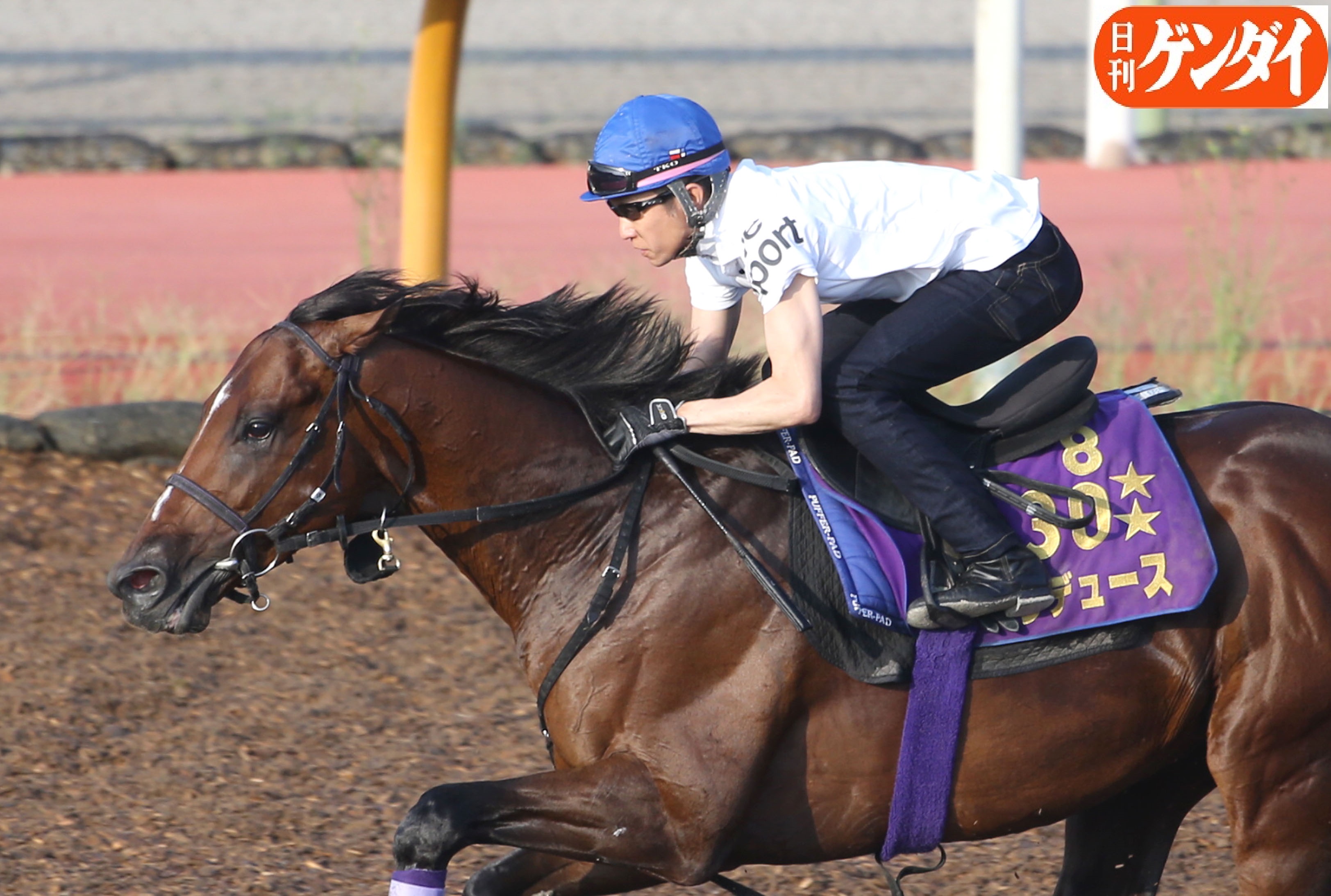 日刊ゲンダイ 競馬 秋のフランスから吉報が届くような気がします 武豊騎手 今年は 日本ダービー 史上初の５０代ｖ 最多６勝 ｊｄｄ １７年ぶり制覇は３度目ｗダービー ｗａｓｊ 平成４年 令和４年の３０年ぶり優勝 今ココ 凱旋門賞 ３０頭目