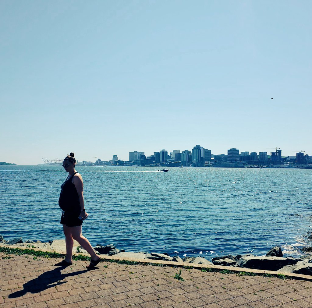 T. Hudson 🇨🇦 tweet media