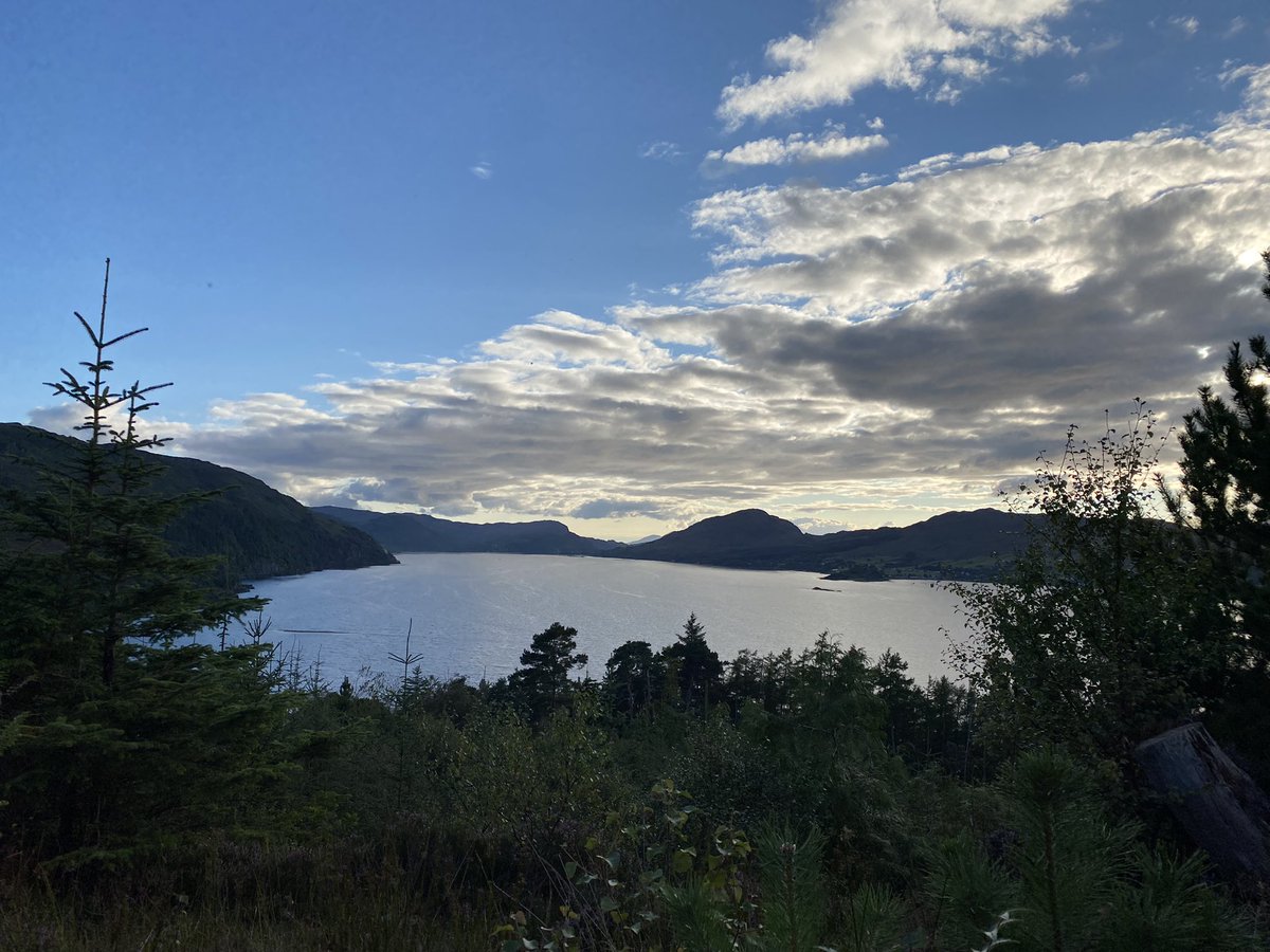 lolly9974's tweet photo. A quick evening walk near Loch Carron , beautiful #views #heather #skies #Scotland https://t.co/bvLKNACa9T