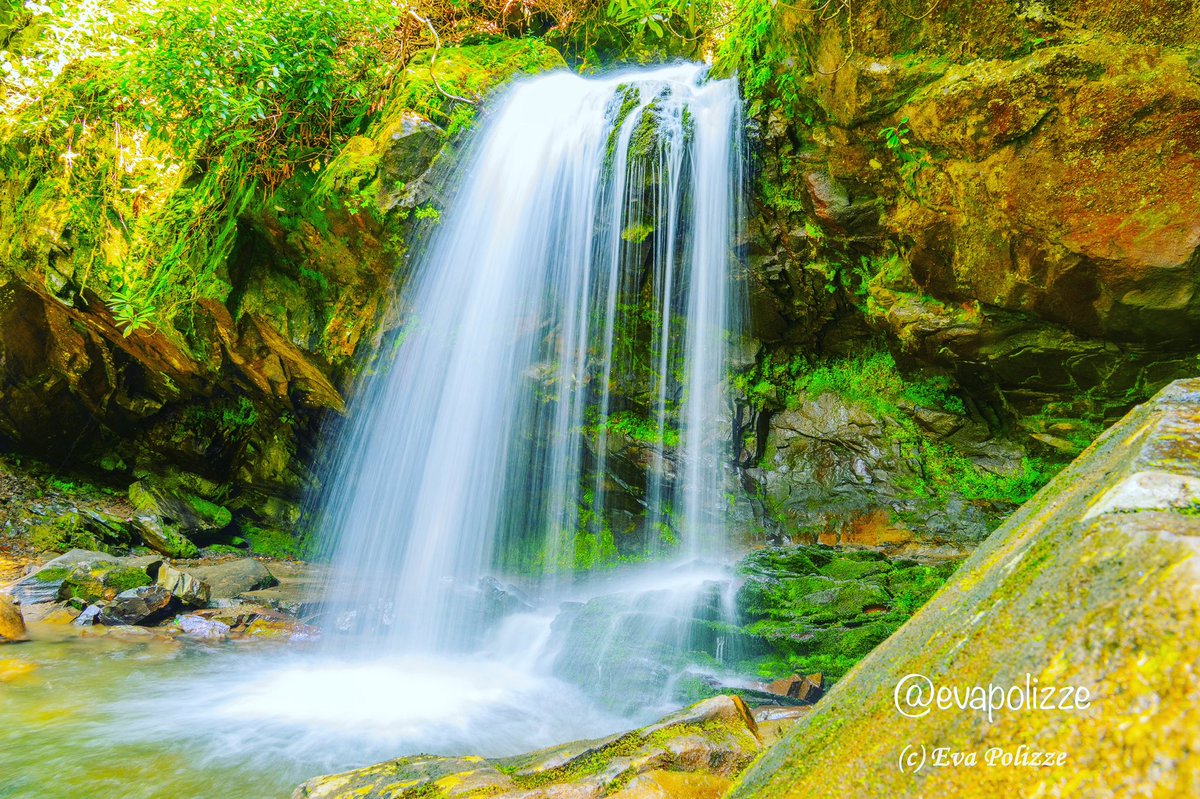 EvaPolizze's tweet photo. Beautiful Grotto Falls in the Great Smoky Mountains National Park, U.S.A.  

#smokymountains #smokymountainsnationalpark #grottofalls #photography #tennessee #mountains https://t.co/3gaQAuqv0c