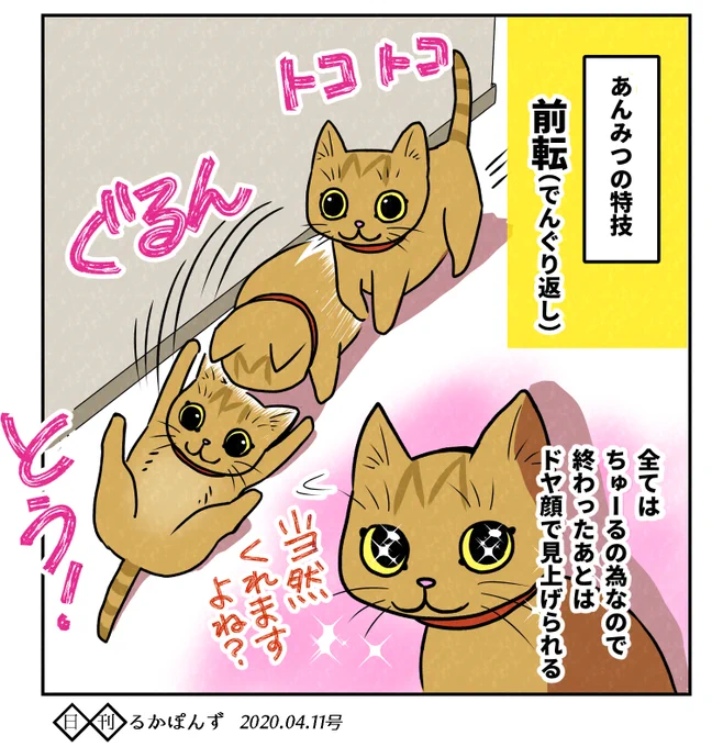 「やって」とお願いするとでんぐり返ししてくれる、うちの猫。

#コルクラボマンガ専科 #日記まんが 