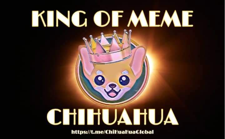 <a href="/CryptoEmdarks/">Crypto Emdarks 📈🚀</a> #CHIHUAHUA 
#CHIHUAHUAARMY 
#CHIHUAHUABSC 
#CHH