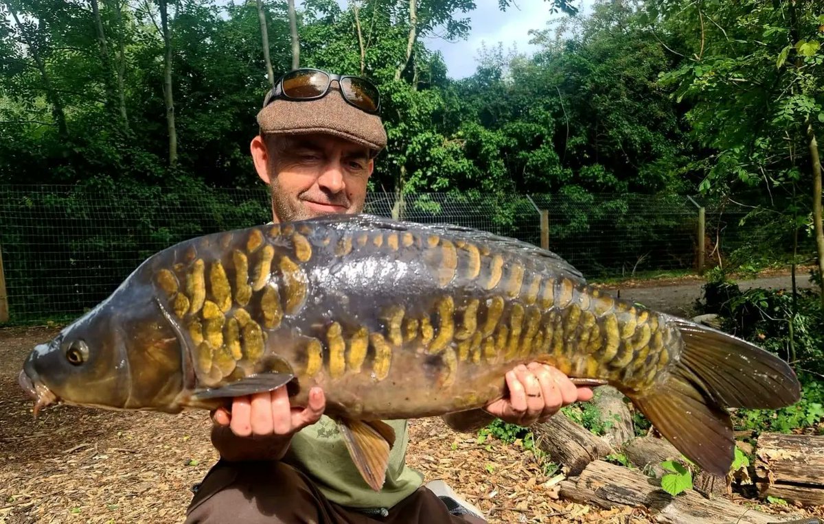 koi152's tweet photo. Just a few from last week @cherry_carp @RodneySyndicate #carp https://t.co/ZwJfwwaoRS