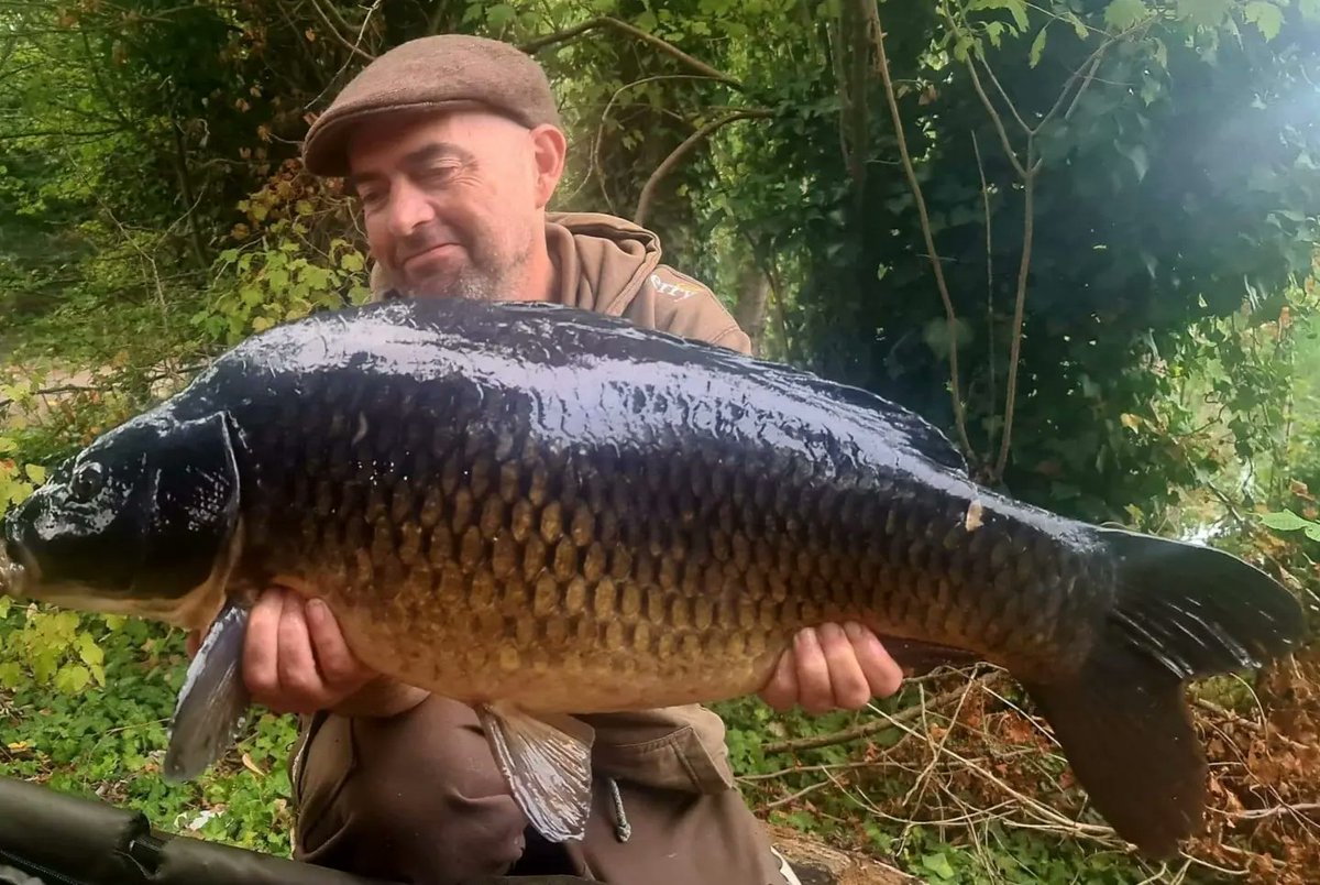 koi152's tweet photo. Just a few from last week @cherry_carp @RodneySyndicate #carp https://t.co/ZwJfwwaoRS