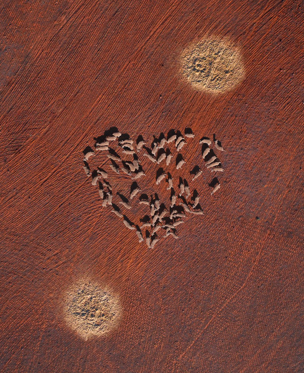 Petra Leary tweet media