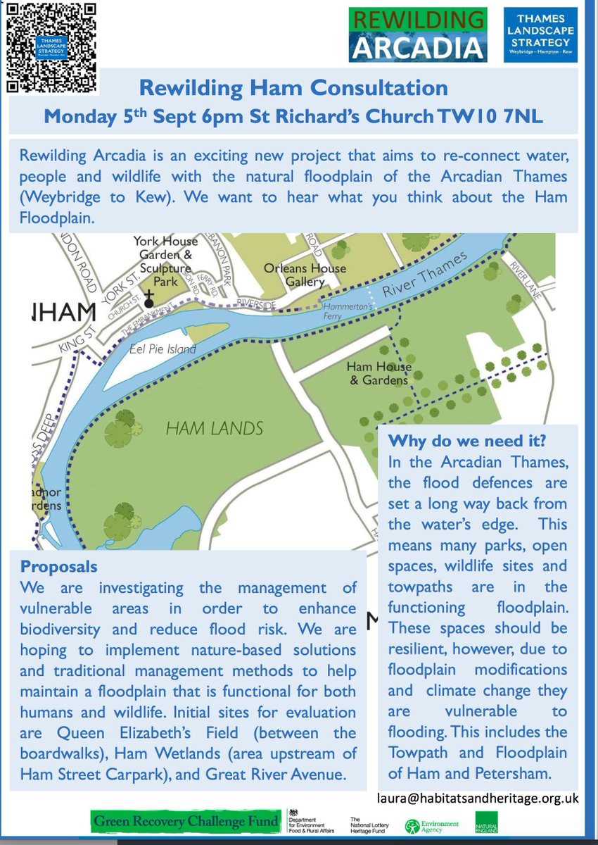HamUnitedGroup's tweet photo. Rewilding Ham consultation takes place on Monday, 5th September. Find out what is planned within this Thames Landscape Strategy project. https://t.co/8m7sWBd1H3