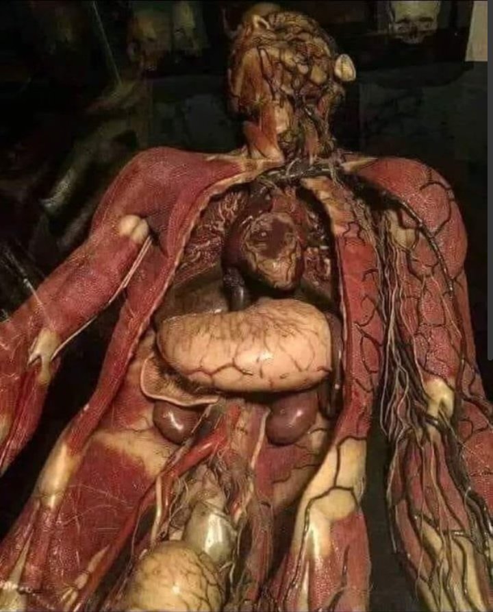 sweeval3's tweet image. This is the real human being with its living gears that move in the middle of a web of complexities.

Each organ operating in harmony with the others, in brilliant synergy!

#FloodsInPakistan #JusticeForHYYH #Nowshera