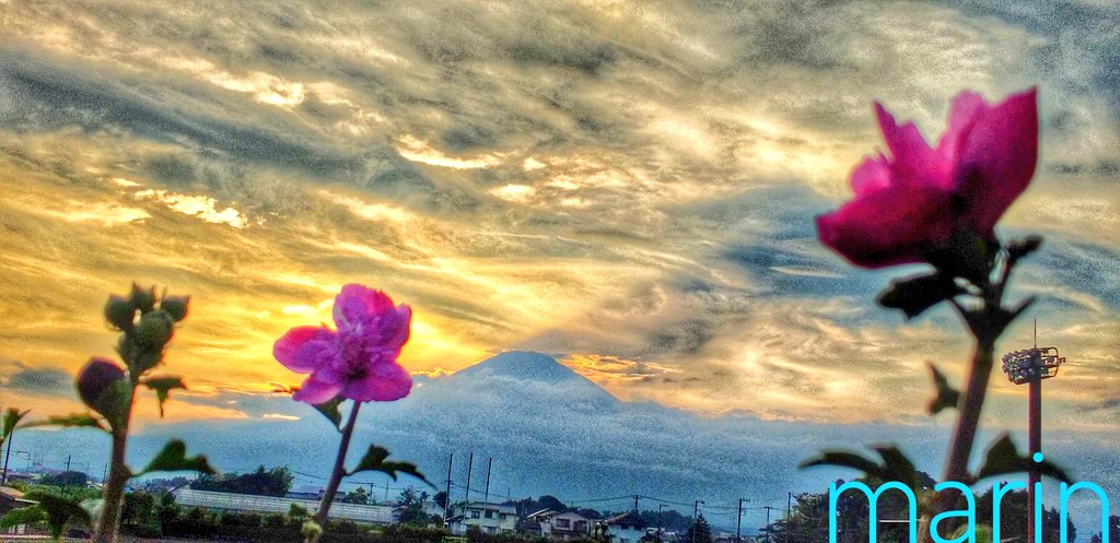 🗻富士山通信🗻 花と夕日と富士山 横バージョンです✨✨ 穏やかな素敵な 時間を✨✨🍀