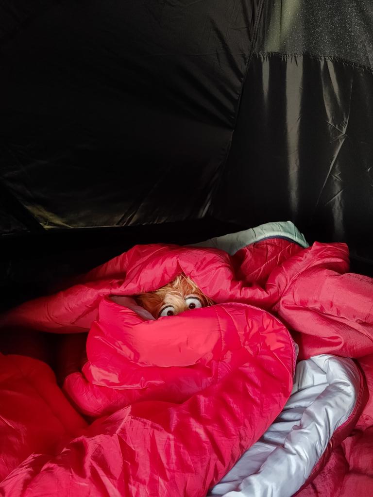 Guten Morgen! 🥱🌤️