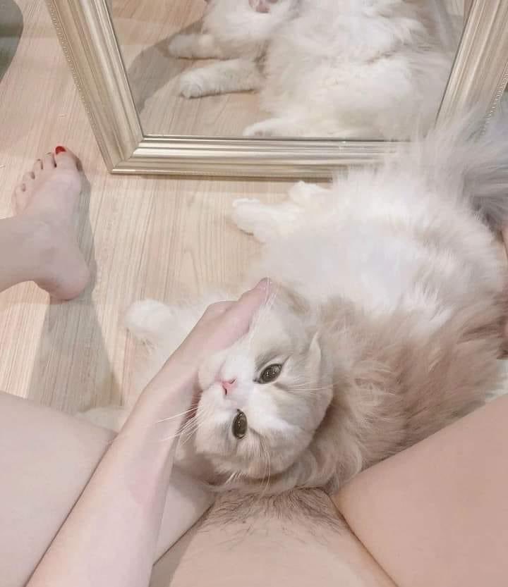 PePhechrburi1's tweet photo. ขนปุยจัง!!!! https://t.co/5J4OYEAO2Q