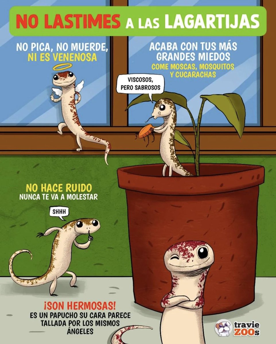 m4rtinsgarage's tweet image. Friendly reminder del día, amigxs.
¡FelizDomingo! 🤗🌼☀️