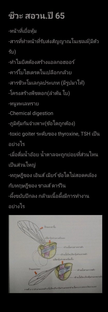 CherbetI's tweet photo. รวมข้อสอบที่นั่งท่องจนหมดเวลาค่ะ บางอันแปลกๆหน่อยทำใจหน่อยนะค้าบ นี่จำมาเองยังงงเองเลย 5555 มีต่อในเธรด #สอวน #สอวนชีวะ https://t.co/vhHqwxiRnM