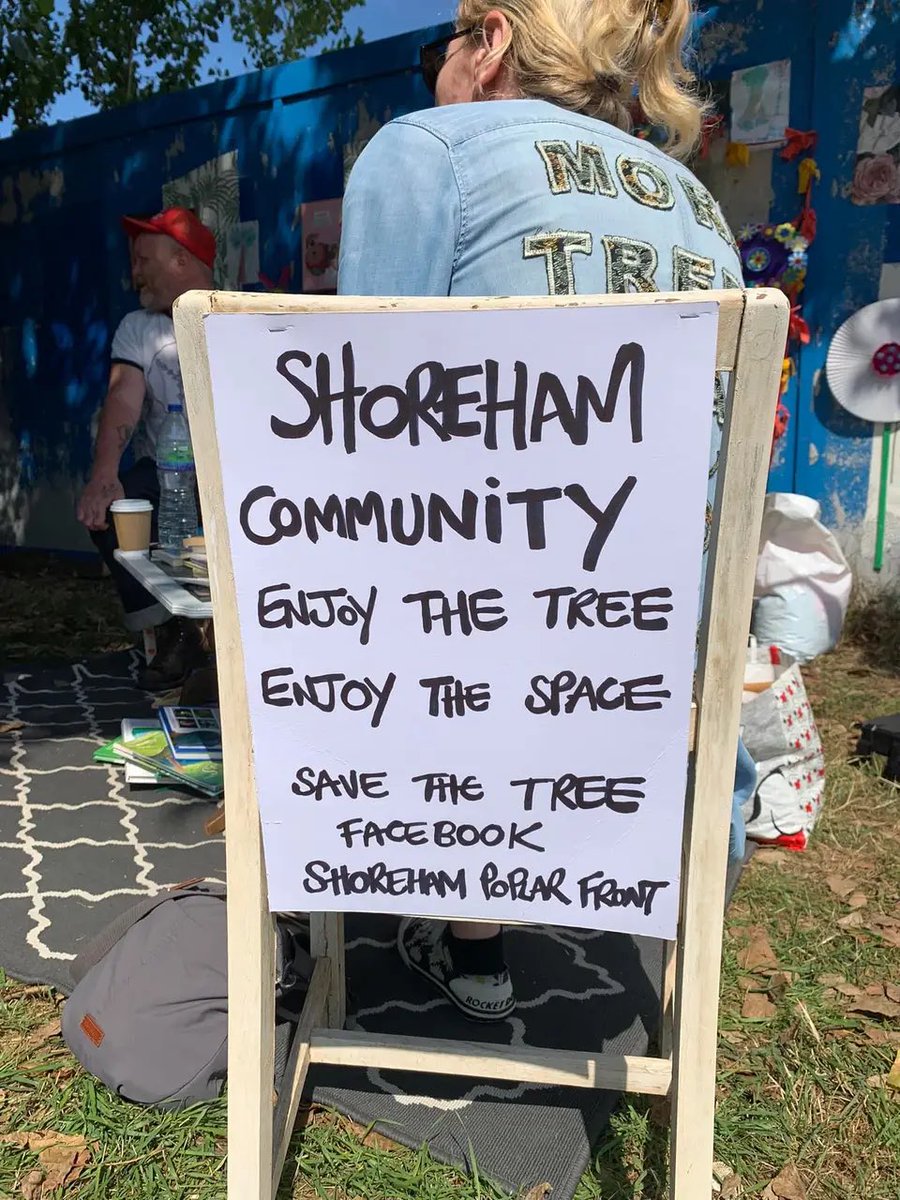 Nonlexic's tweet photo. Hey @georgecmcgavin The last Poplar tree on Brighton Road has been occupied and a section six posted. #solidaritree https://t.co/Xtv2jDkTYa