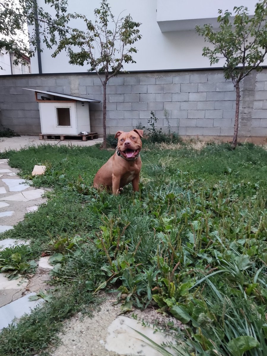 Taulant Fishari (@taulantfishari) on Twitter photo 