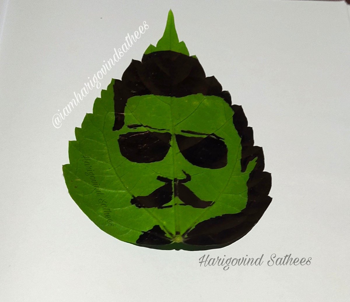 iharigovind's tweet photo. #My Leaf Drawing  
@Mohanlal

#Leaf_Art_  🌿

#leafart #leafdrawing #artlovers #mohanlal #mohanlalfans_kerala
#myleafdrawing #leafart #mohanlal #harigovindsatheesart #artvibes #artlovers #aaduthoma #drawingonleaf #myart #leafwork https://t.co/FqT4DPx5i0