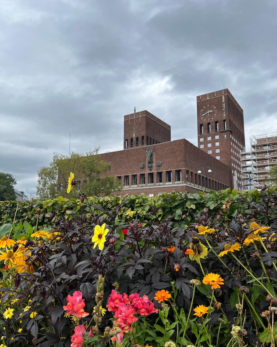 Good morning from Oslo.🇳🇴

I’m here visiting Mr N
Oslo is a very vibrant city 
It also has a lot of very beautiful bedding and perennial planters situated everywhere.
The rudbeckia and echinacea are stunning. 
Flowers make anywhere special.
🌸🌻🌼

Hope you have a good Sunday. ❤️