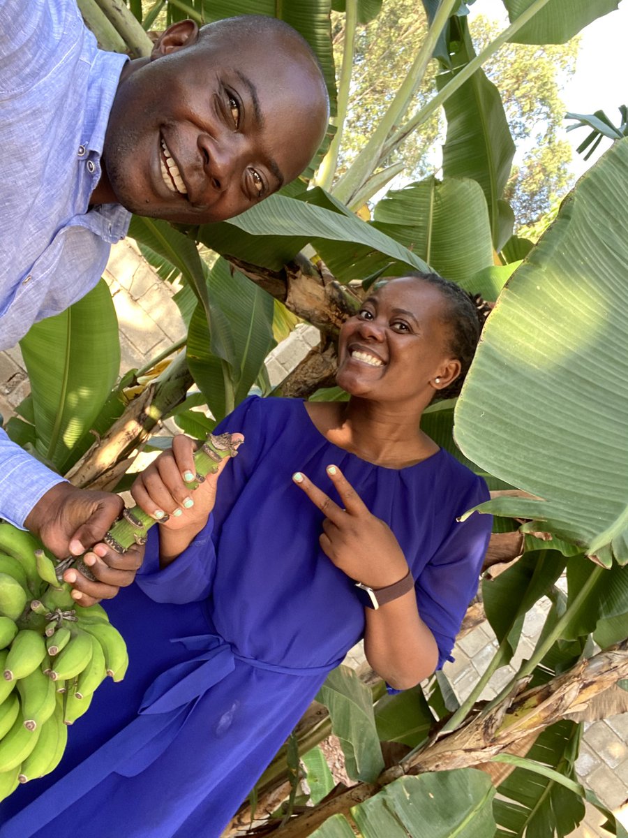 davidkabanda's tweet image. Will you eat today? Do you know the source of that food and how it was grown? In @GovUganda it is estimated that 89% of the food in the main markets is contaminated with harmful agrochemicals. Let’s embrace #agroecology and a #HRBA to prevent #NCDs @BiovisionAfrica