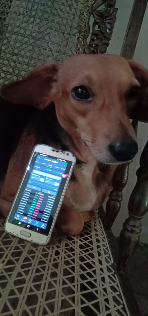 Prasannape's tweet photo. #DOGSTRADEONCEXIO https://t.co/8gfjaxXatB