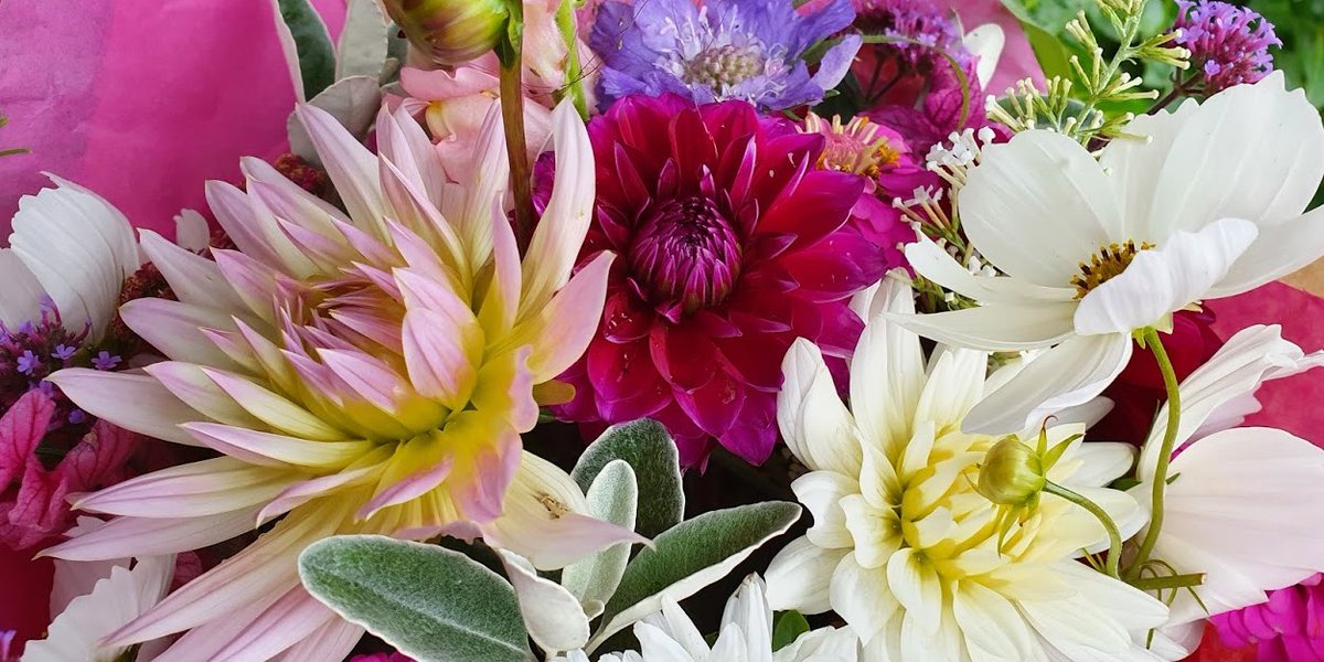 If you love flowers and care for the environment and don’t like to be tricked by clever marketing I would recommend you read Gill Hodgson @fieldhouseflowers posts each day through August about GREENWASHING. Enlightening.....