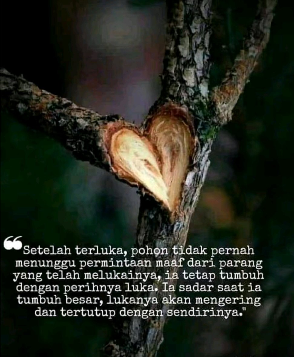 Sumantoa1's tweet photo. Analogi yang pas buat saya. https://t.co/Lpo1HHhwl5