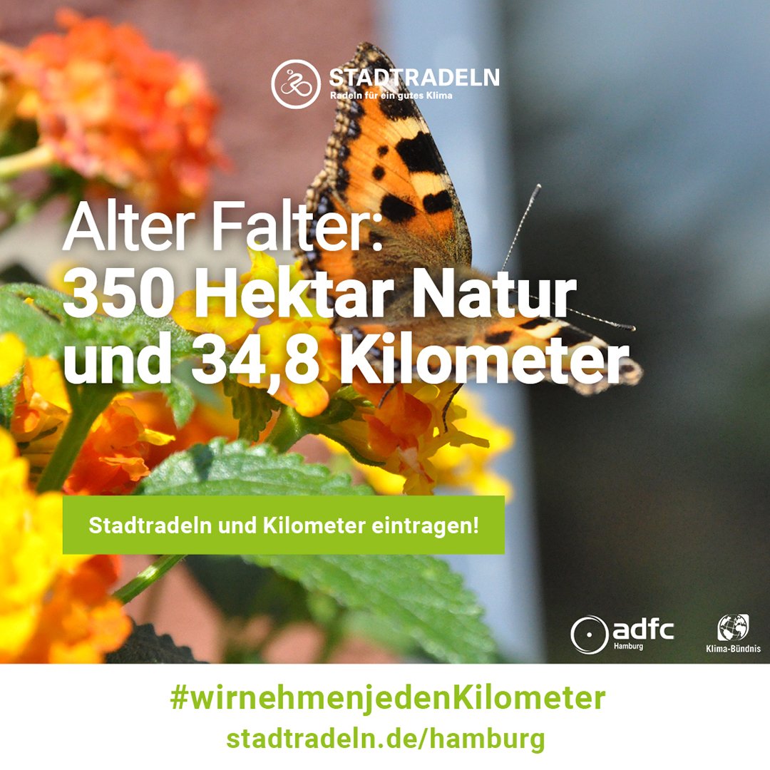 ADFC_Hamburg's tweet photo. Bist Du ab 1. September beim #stadtradelnhamburg dabei? Egal wohin Du fährst, #wirnehmenjedenKilometer. Anmeldung unter https://t.co/J8r8khOLwn https://t.co/c6ROZLOOOL