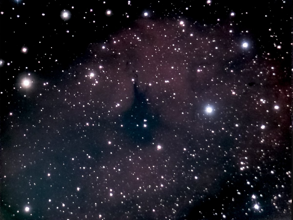 AstroMikeMerri's tweet photo. A beautiful night to be out with the #eVscope for some non-#LockDownAstronomy. This time of year, the plane of our galaxy is overhead at night, so a great time to be exploring it. Nosing around, I stumbled across this impressive spot in the constellation of Cygnus. https://t.co/dGpYSFnqlT
