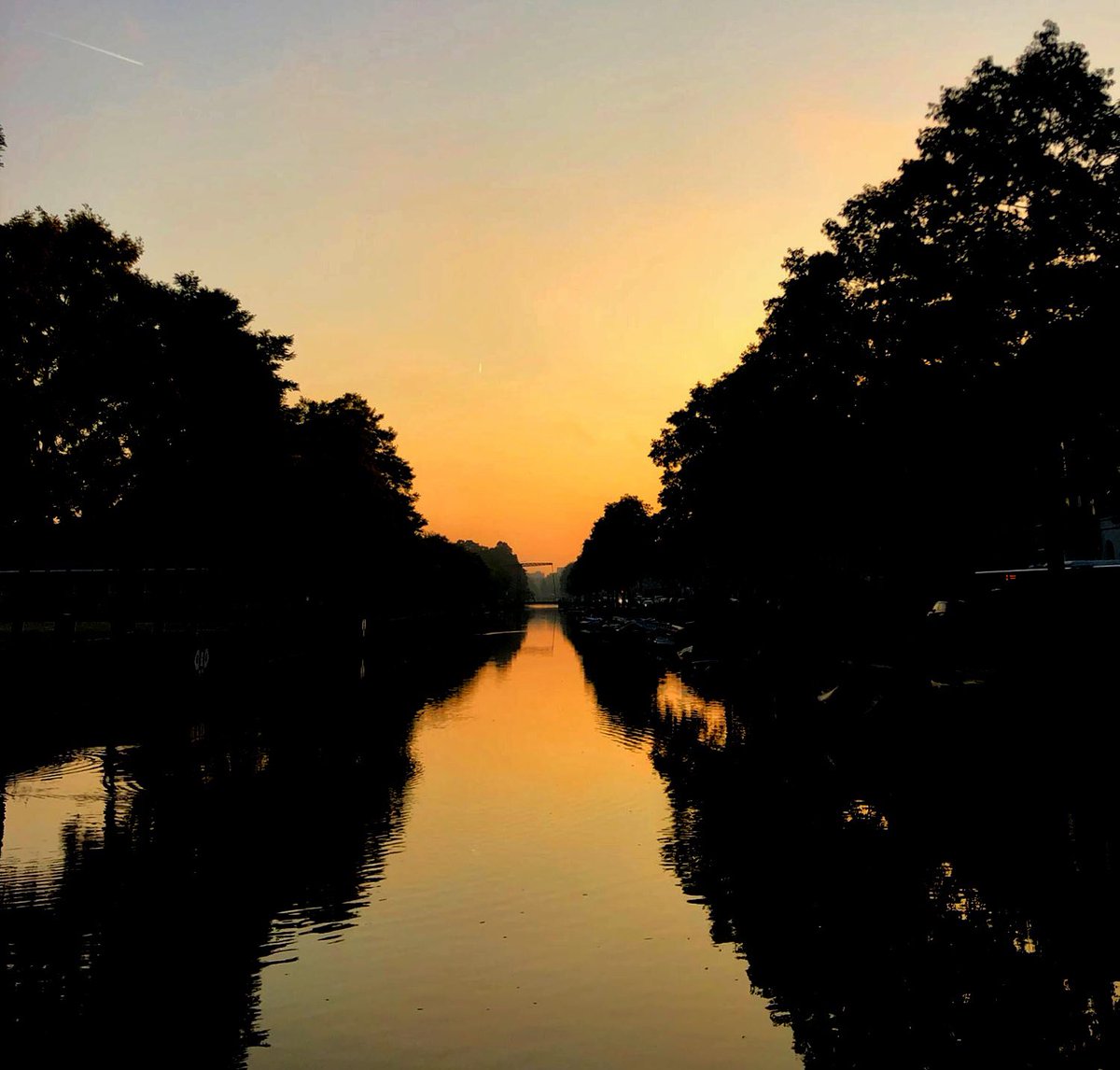 Dave Thompson tweet media