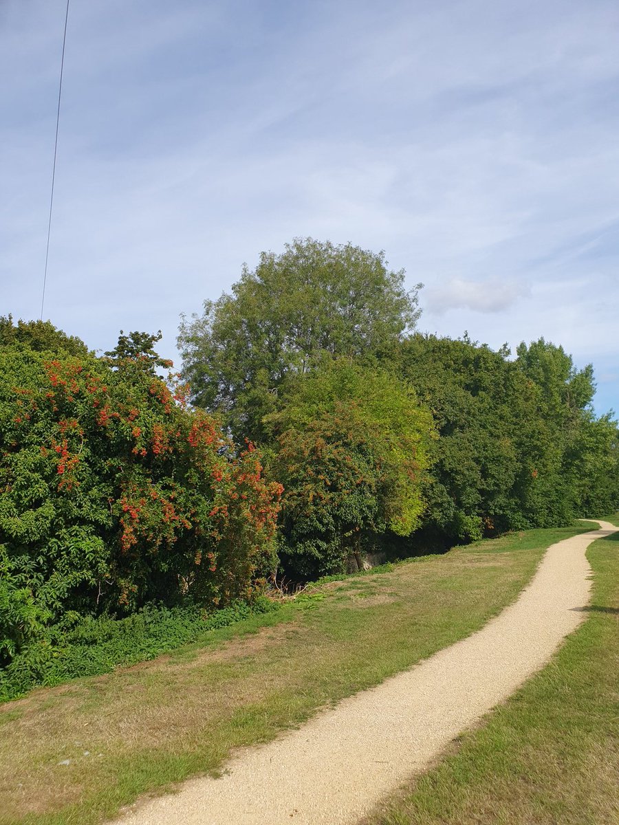 Nothing like a walk in the sunshine
#Sunday #SundayMorning #selfcaresunday #selflove #Britishsummer