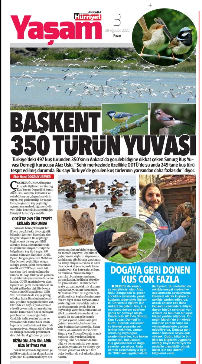 Türkiye'deki 497 kuș türünden 350'si Ankara'da görülebiliyor. Göç yolları üzerindeki bașkentte yalnızca ODTÜ'de 249 kuș türü tespit edildi. hurriyet.com.tr/yerel-haberler… #Ankara #Eymir #Nallıhan #HürriyetAnkara @handefrt @fatihtkc @orhankemalerk @SimurgKusYuvasi