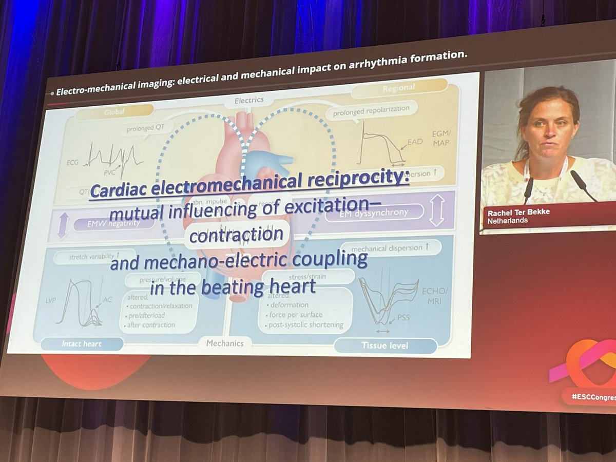 CarolRemme's tweet image. Great presentation by @RachelterBekke on the relevance of electromechanical dispersion and reciprocity for arrhythmogenesis in long QT syndrome

#ESCCongress #ESCBasicScience #arrhythmia #EPeeps @EmmaSvennberg @CVR_TomaszGuzik @DrAfzalSohaib