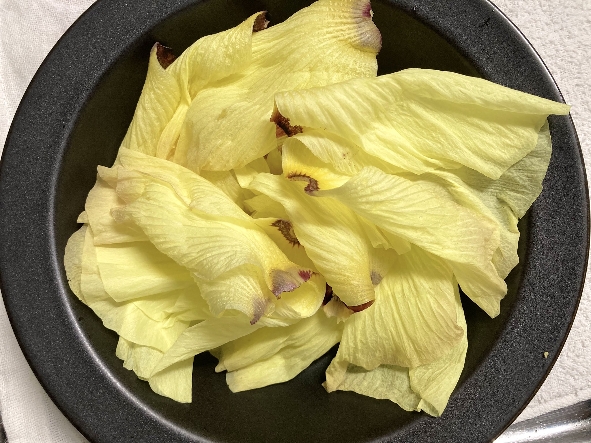薄荷 はっか すたすたぐるぐる信州編 発売中 花オクラ はじめて食べます 天ぷらが美味しいらしいけど 今日はサラダ T Co Szxhaldhcl Twitter