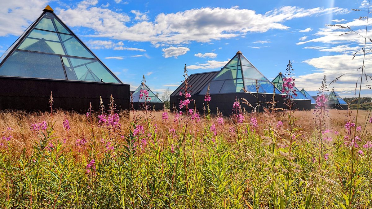 DiscoverFinland's tweet photo. Located at Tonttula Experience village, only 10 minutes drive from Levi centre, Aurora Pyramids are a unique way to experience the arctic night skies and northern lights from the luxurious comfort of your own bed: https://t.co/mroFRO3jel https://t.co/FNxbjoOCJh
