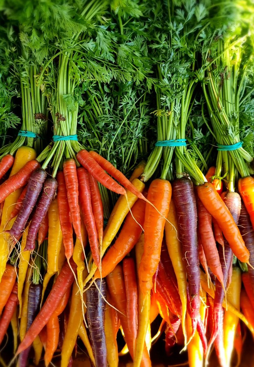 Ilze Lipska tweet media