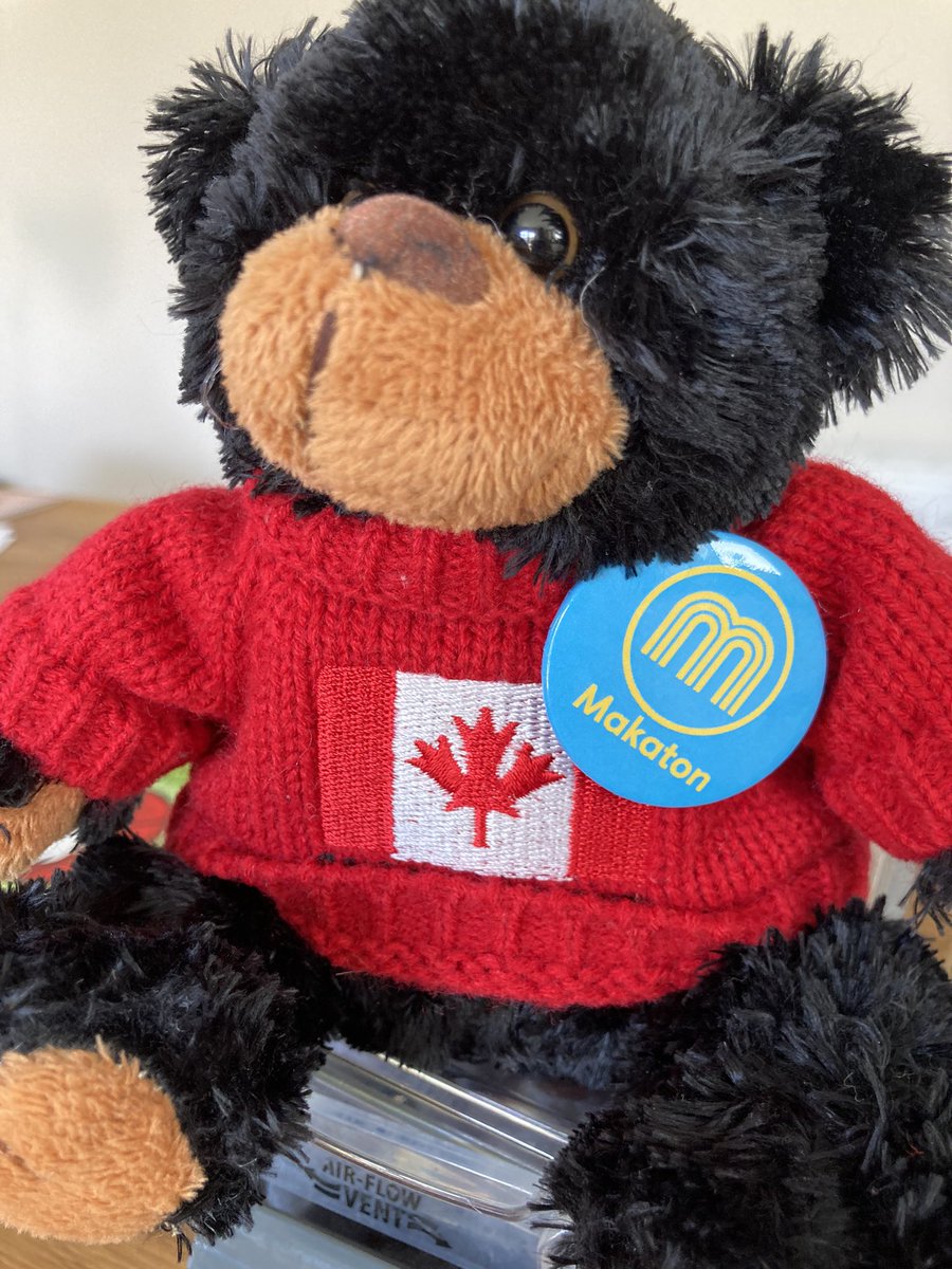 Makaton_NA's tweet photo. 6am in Toronto and who is ready to party already @MakatonCharity !!🥳 #makaton #makatonawareness https://t.co/cJnHaXtDXY