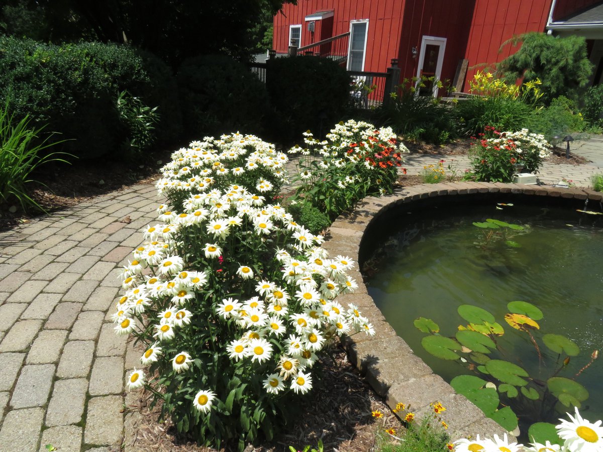 PLKlein_Author's tweet photo. "If you concentrate on what you don't have, you will never have enough." ~ #OprahWinfrey #QuickQuotes #ThinkBIGSundayWithMarsha #SundayMotivation #ThinkingOutLoud #Concentrate #WhatYouDoNotHave #NeverHaveEnough https://t.co/z3oTIb1baY