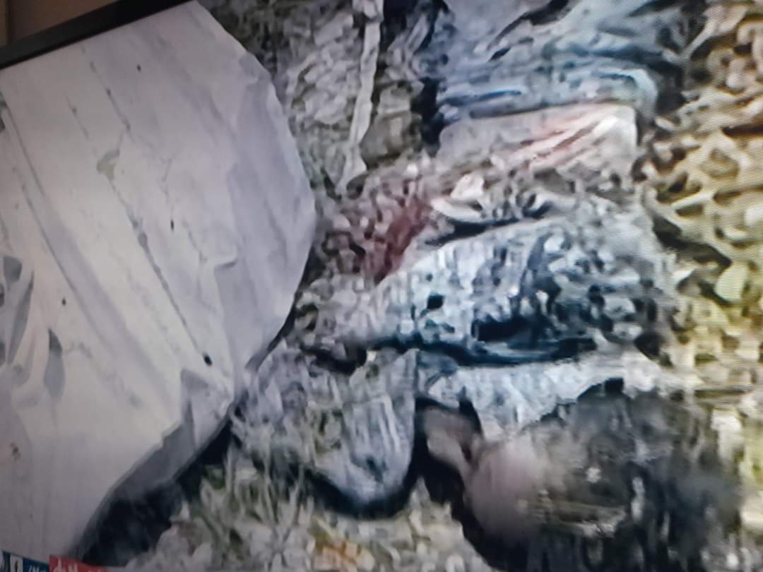 Denait17's tweet photo. #EndTigrayGenocide! For #700DaysOfTigray has been without food,medical supplies,telecom,electricity &amp; access to bank How long would you last without these vital suppliesTime to end #TigrayGenocideAs @UNGeneva @SwedishPM @POTUS.@WediRaya7 @Tigray https://t.co/V8ZXbLxUnz 💔 https:/ https://t.co/C5jg7w3ikd