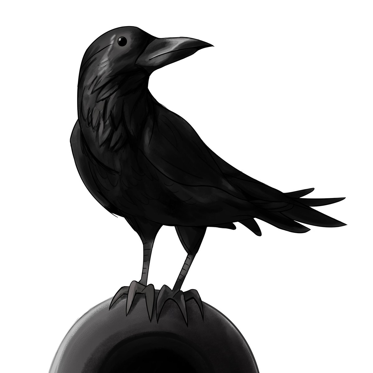 ivanprime93's tweet photo. I watched the tutorial video by DanKendi
#raven #bird #birdart #birddrawing #animalart #animal #digitalartist #digitalart #digitalartistoninstagram #drawing #art #artist #animaldrawing #blackbird #artchallenge #cannon #wingedcreature #animalartist #quickart #quickdrawing https://t.co/yHC4JK7YvG