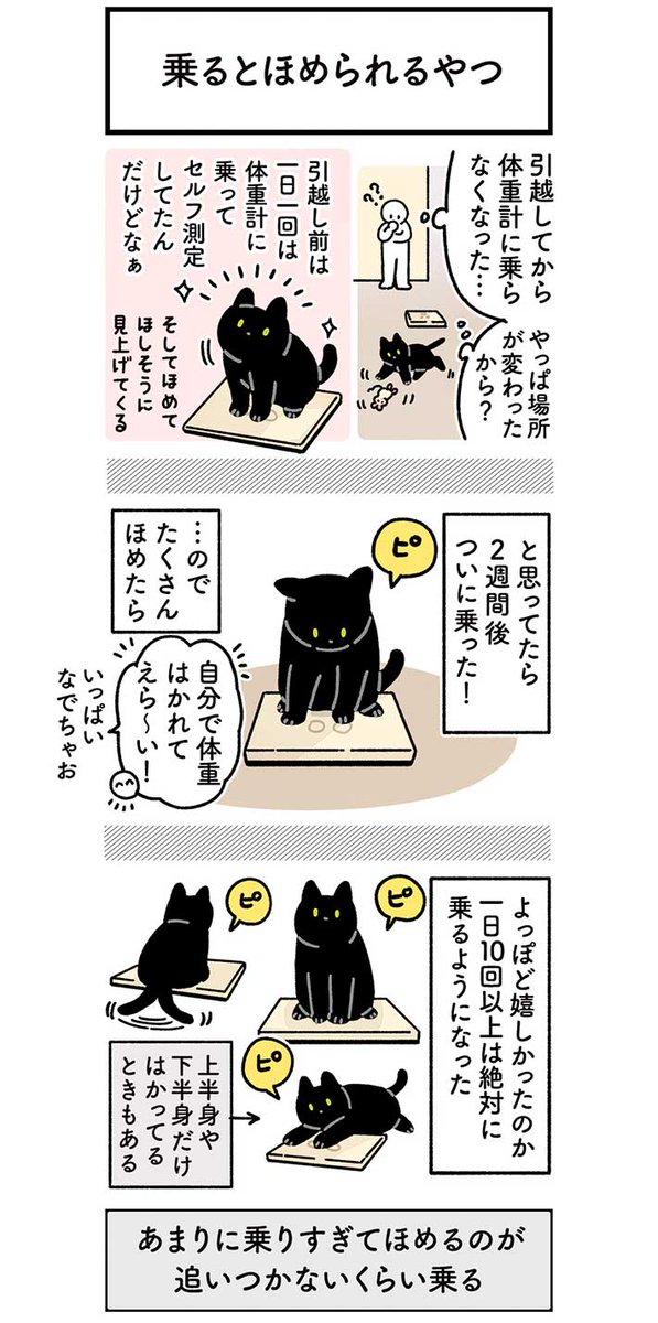 体重計に乗る猫のエピソードに、心が和む 「なんでこんなに可愛いの」「かしこい～!」 https://t.co/Hd45j29U9n @grapeejpより 