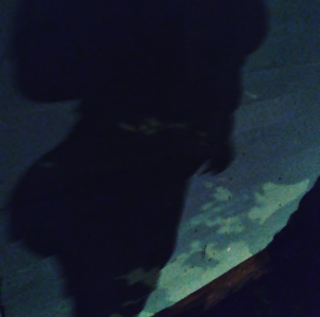 H0tt_kitty's tweet photo. Shadow does no justice.. but its a nice preview 😜🍑🍑🍑
#BigBootyMoms #bigbootyfreak #loveyourbody #takeitorleaveit #Bigbootygang #bigbootyclub https://t.co/Pyw4BjhTRp