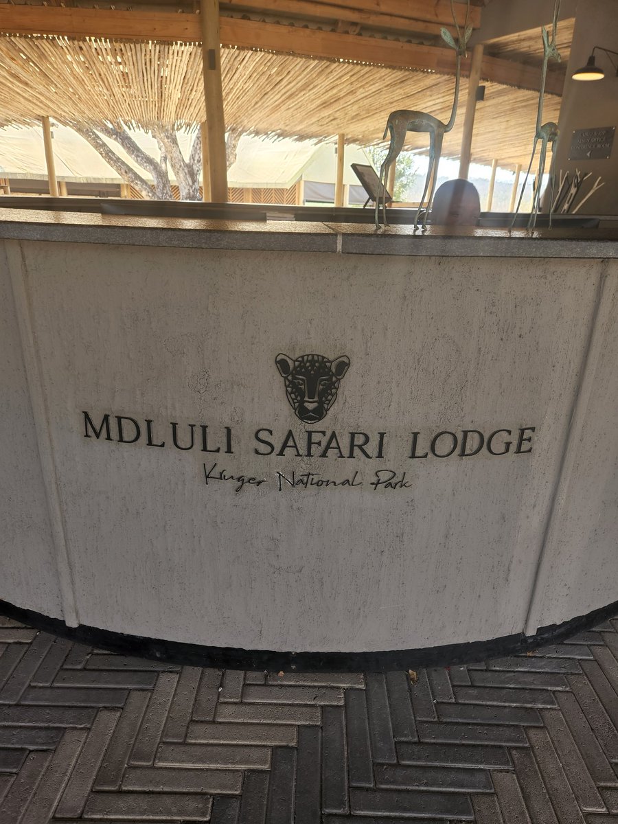 mabasa_bulelwa's tweet photo. Mdluli Safari Lodge is 1 of the jewels in the Kruger National Park. Land owned by the community is sustainable thru a strategic partnership with Grovest. Community has free title to land. I detail this success story in my memoir"MyLandObession".Land reform is possible. https://t.co/P5NWH5l1MZ